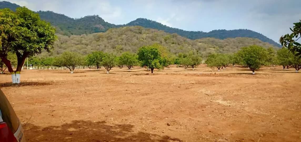 Pudami Organic Farm Land, Madhavaram