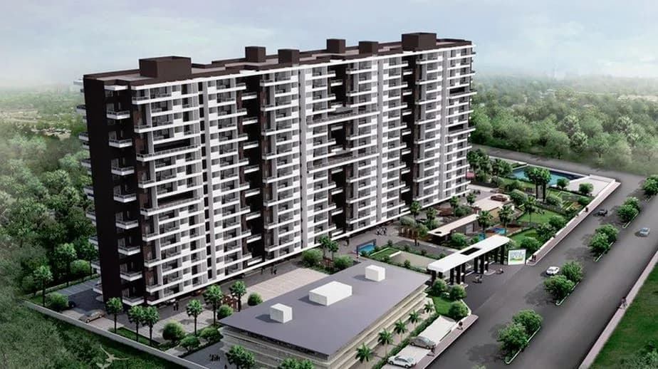 Eisha Serene Woods — Bird Eye View
