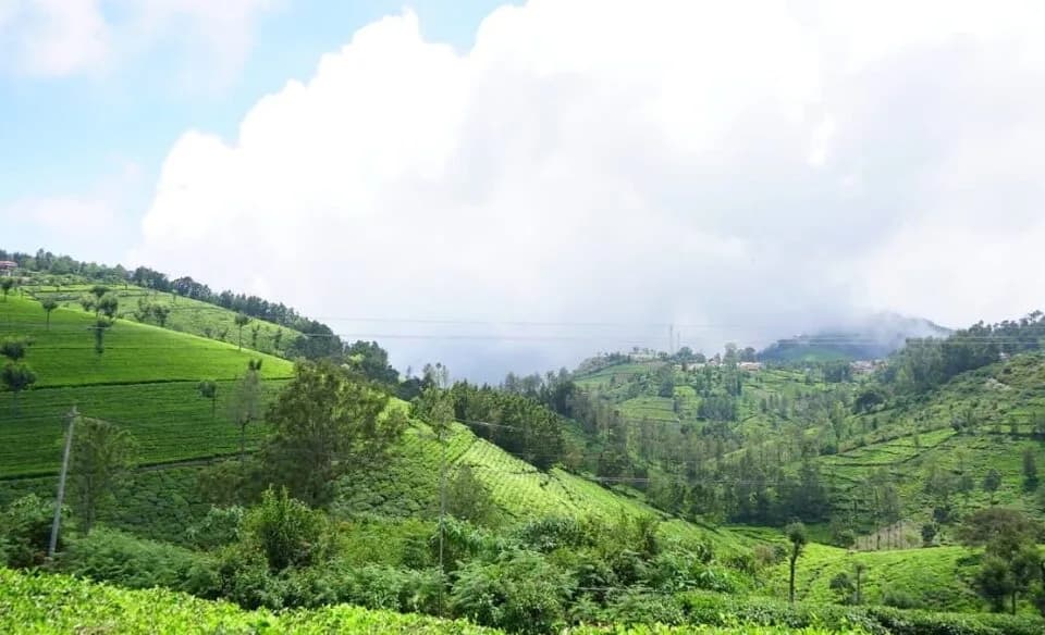 Vitrag Sunset View, Coonoor