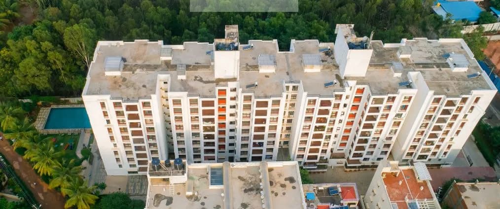 UKn Belvista, Whitefield