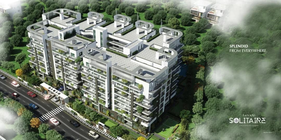 Pavani Solitaire, Ganguru