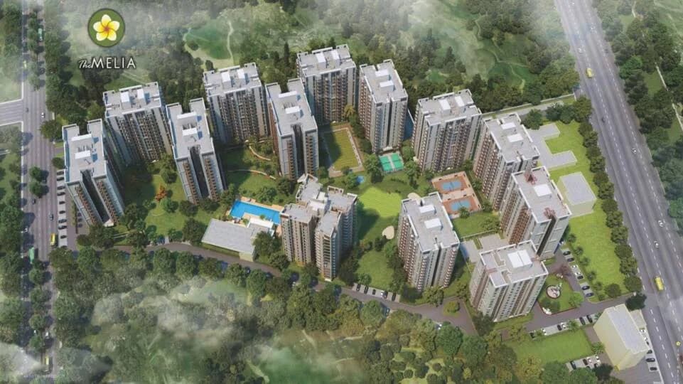 Silverglades Melia First Citizen, Sohna