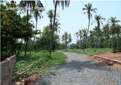 Sreerosh Best Plots, Thazhe Chovva