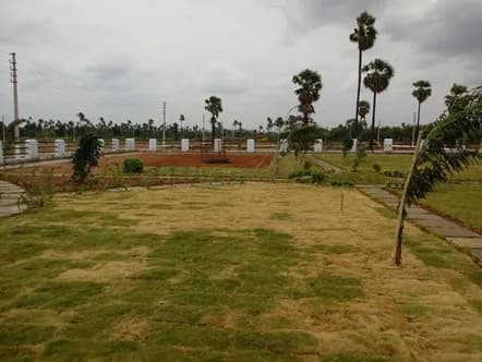 JBs Green Meadows, Kongara Kalan