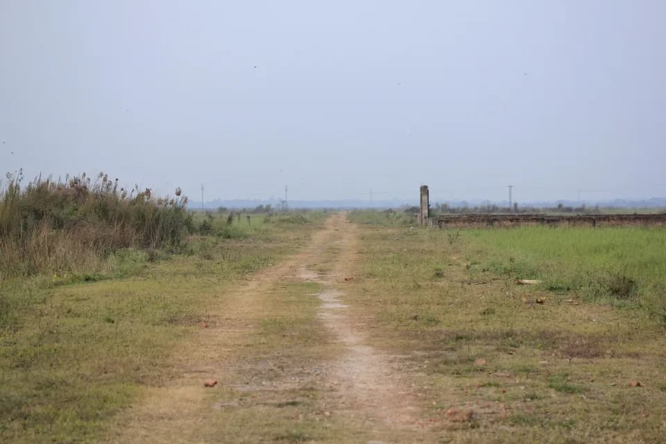 Pratham Deal Mark Shivalik, Dankuni