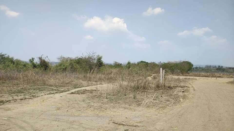 Avani Plots, Uran