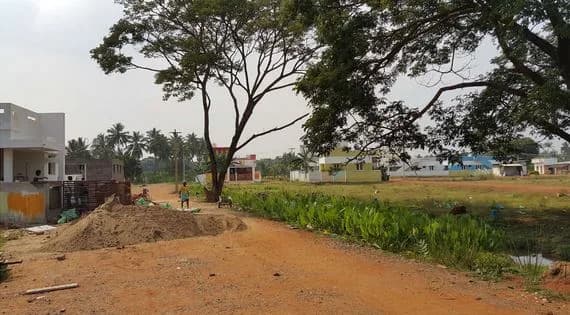 Ritz Avenue, Ariyamangalam