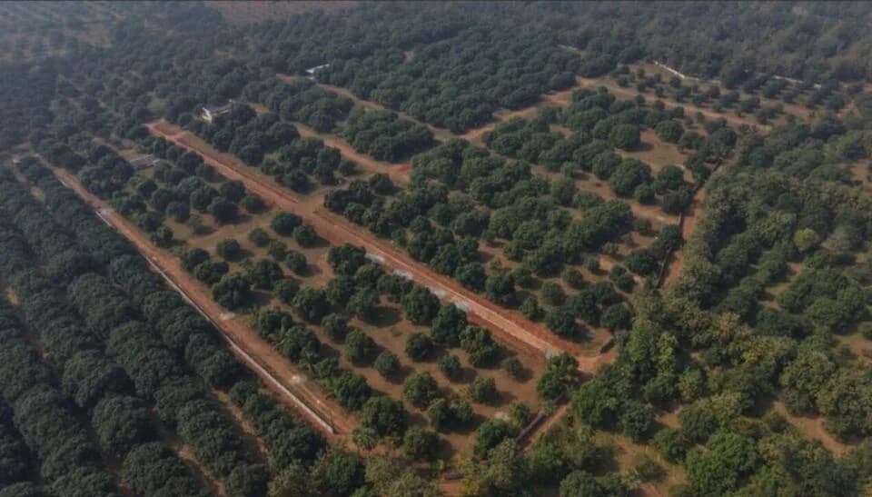 Kalidindi Mango County 2, Bhogapuram
