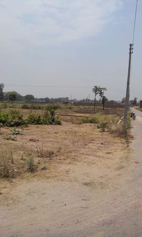 Sigma Rock Amrai Green City, Takrohi