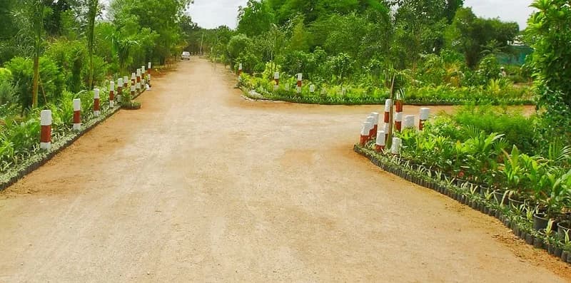 Pragati Green Valley, Chilkuru