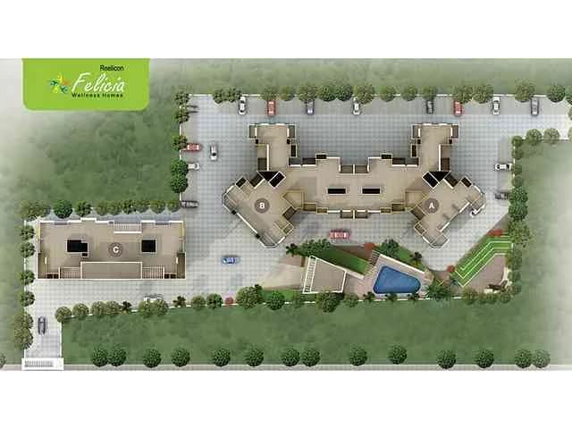 Reelicon Felicia, Pashan