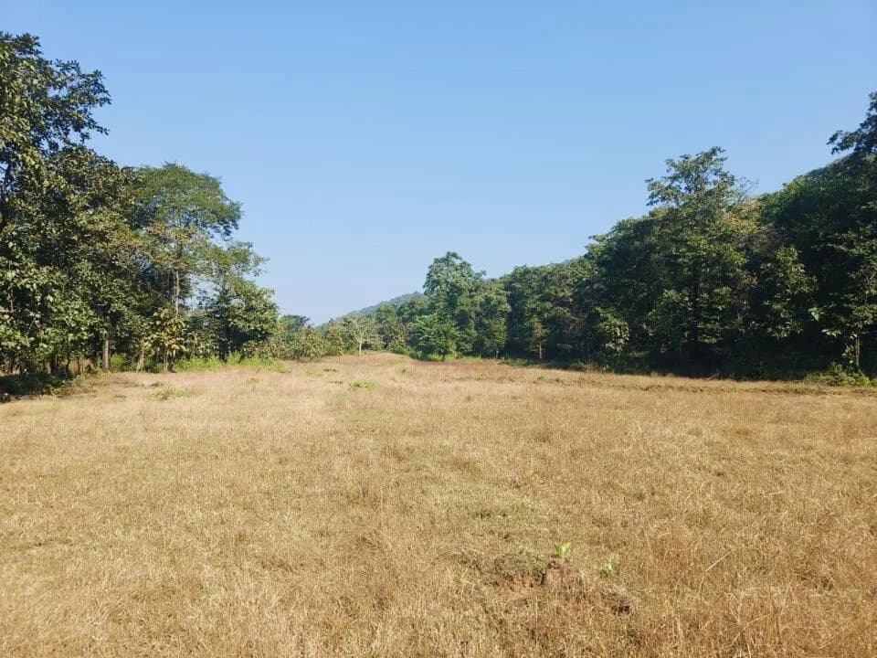 Stargaze Invest Plot, Uran