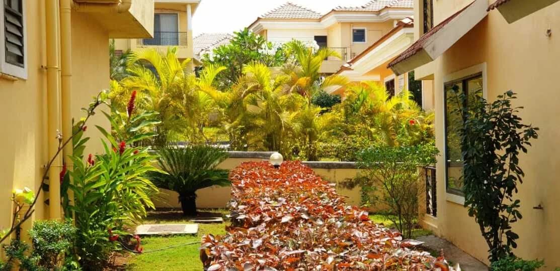 Santa Fe Dreamwoods, Salcete