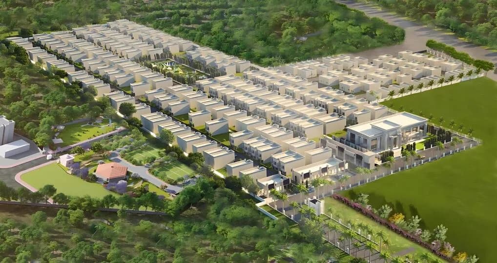 Amayra Vista, Kurali