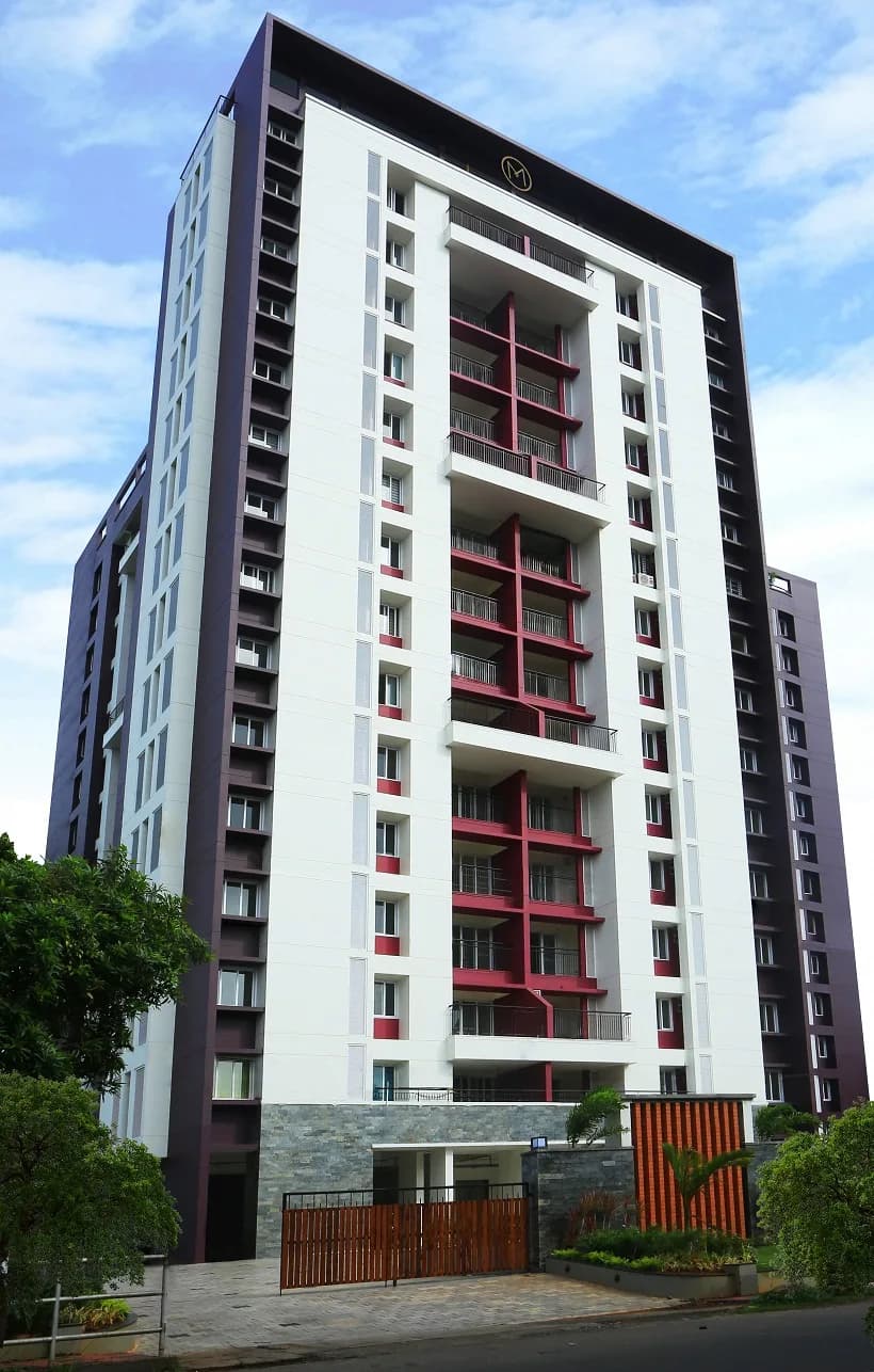 Malabar Silver Linden, Meenchanda