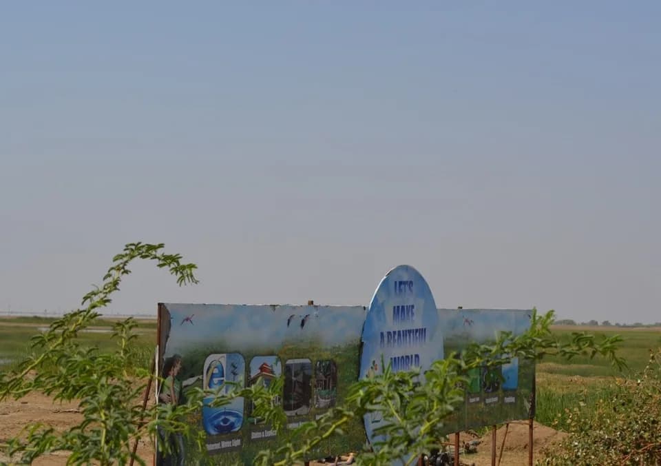 Aamani SIR, Dholera