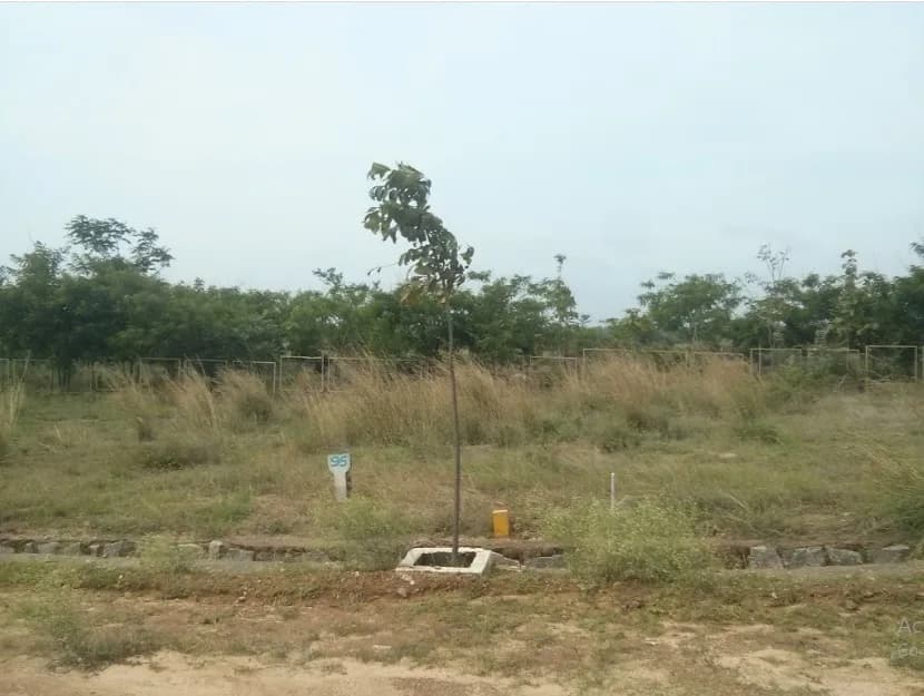 AVS Deflora, B.Muduganapalli