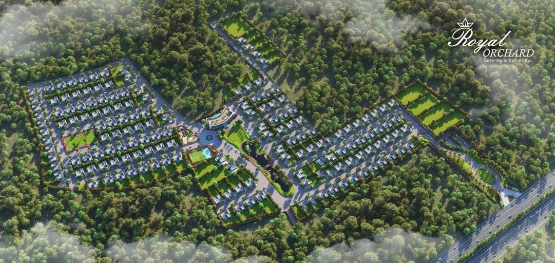 Royal Orchard, Shinay