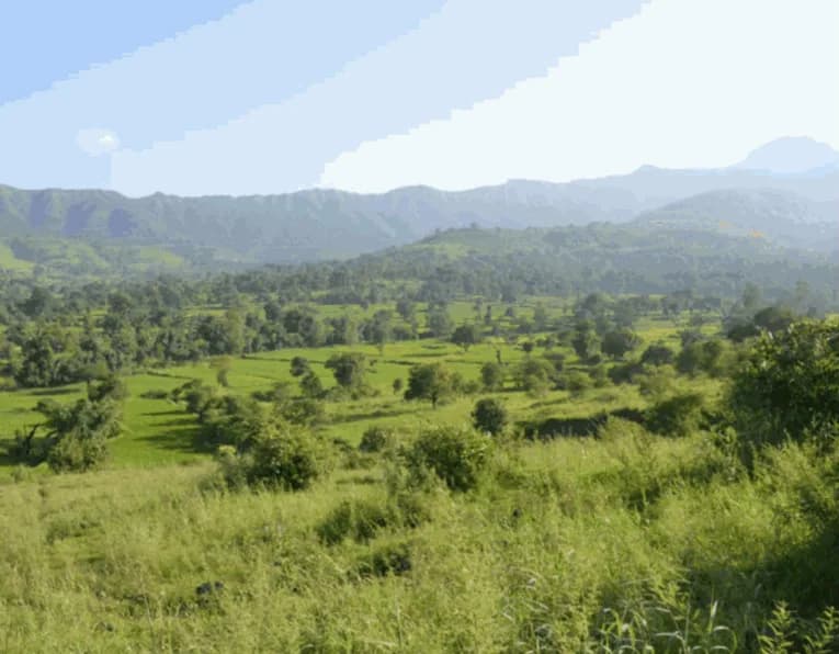 New Heritage View, Velhe