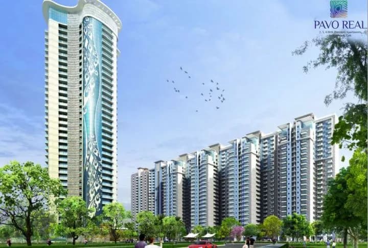 Rudra Pavo Real, Indirapuram