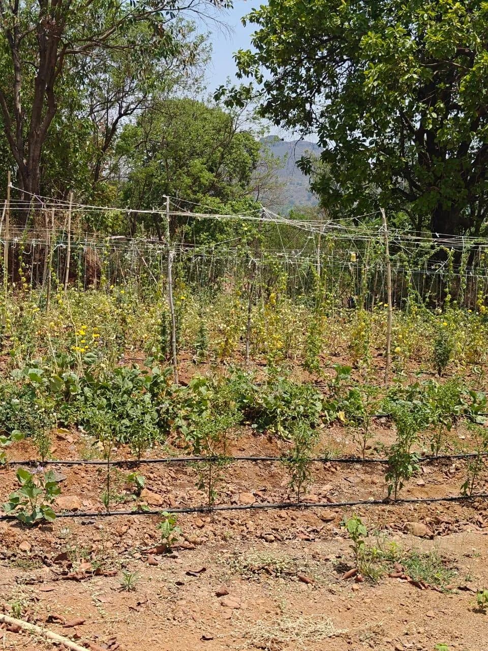 Mistland Farm Plots, Igatpuri