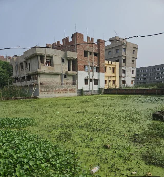 Vinay Bihar Apartment, Danapur