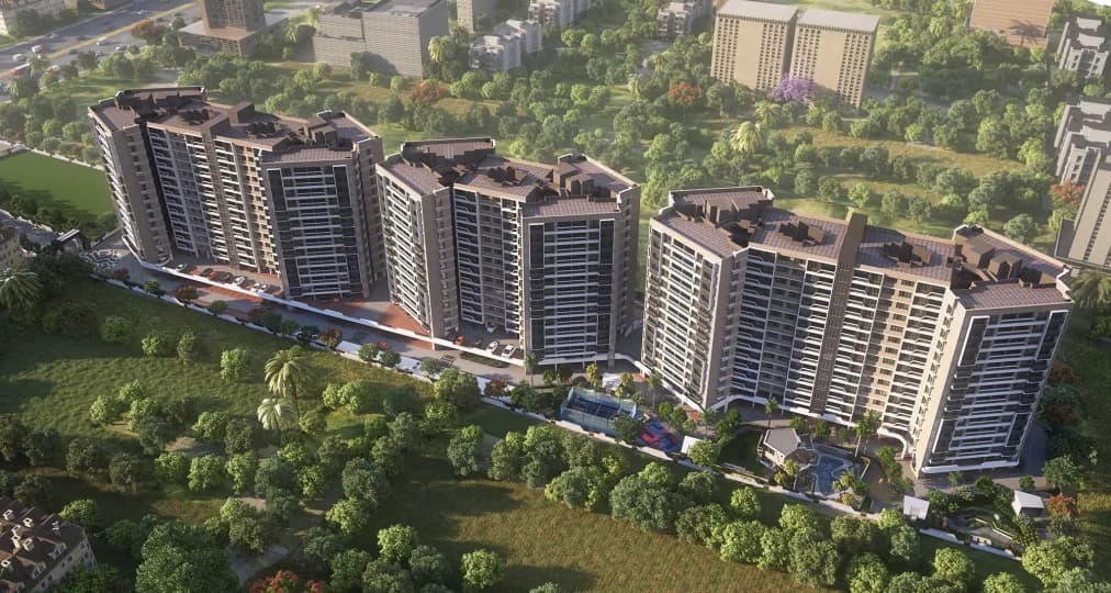 Amorapolis, Dhanori