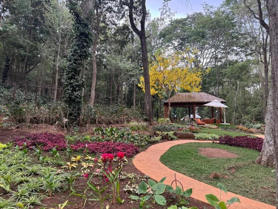 Life at Coffee Estate, Yercaud