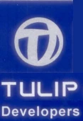 Tulip Developers logo