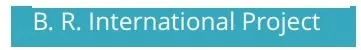 B R International Projects logo