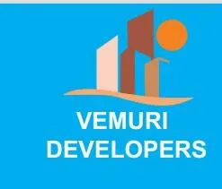 Vemuri Developers logo