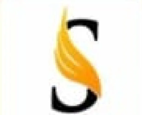 Sandeep Sawant Group logo