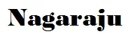 Nagaraju logo