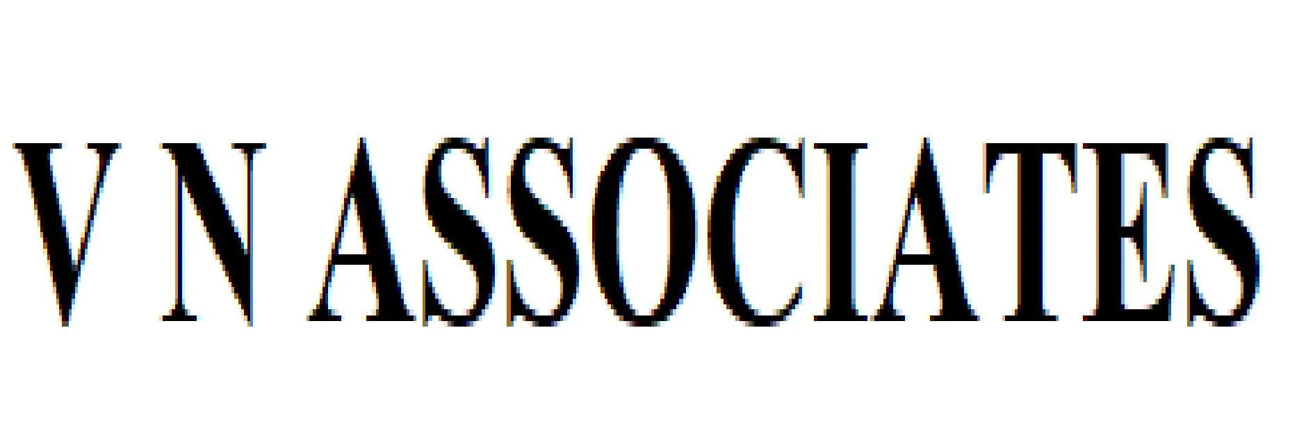 V N Associates logo