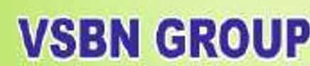 VSBN Group logo