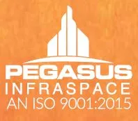 PEGASUS INFRASPACE logo