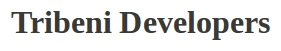 Tribeni Developers logo