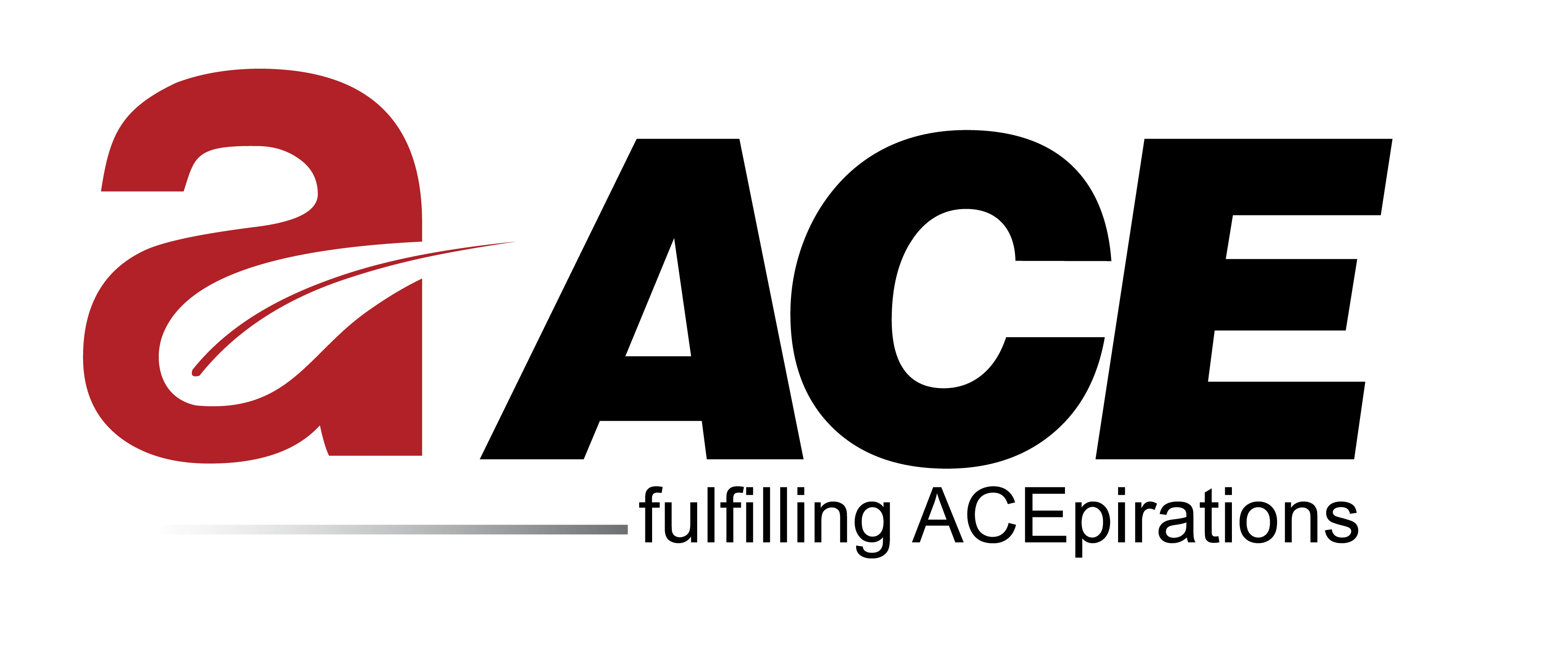 ACE Group logo