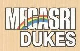 Megasri Dukes Constructions LLP logo