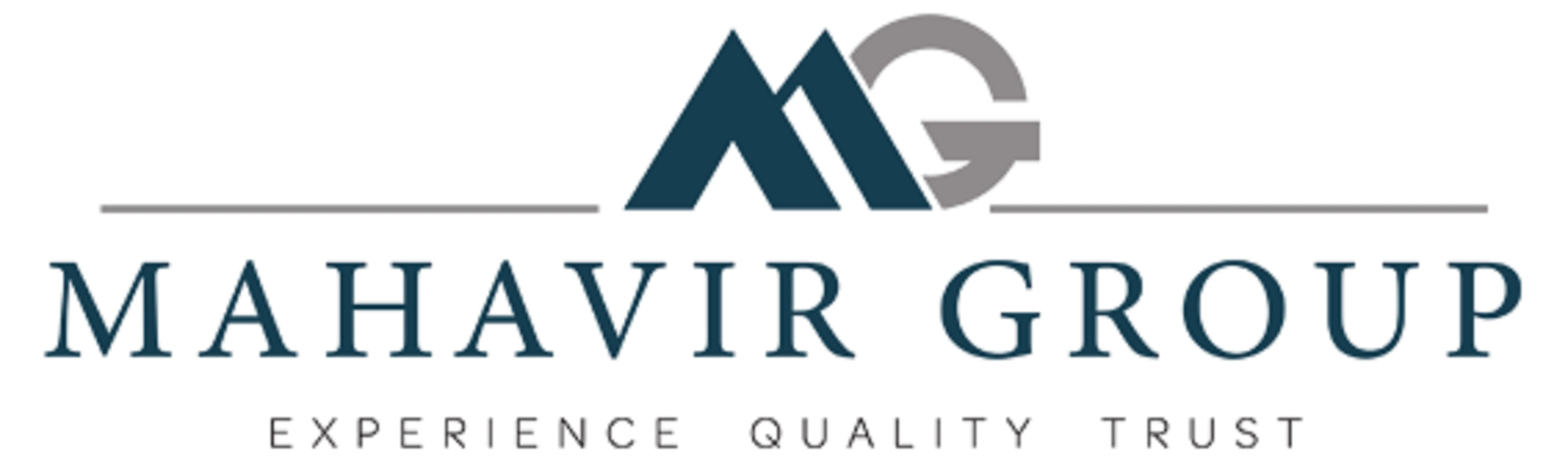 Mahavir Group Rajnandgaon logo