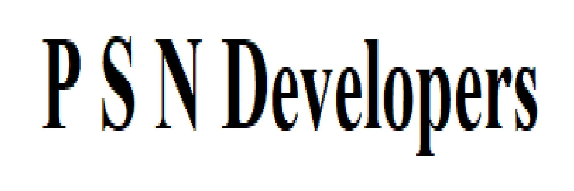 P S N Developers logo
