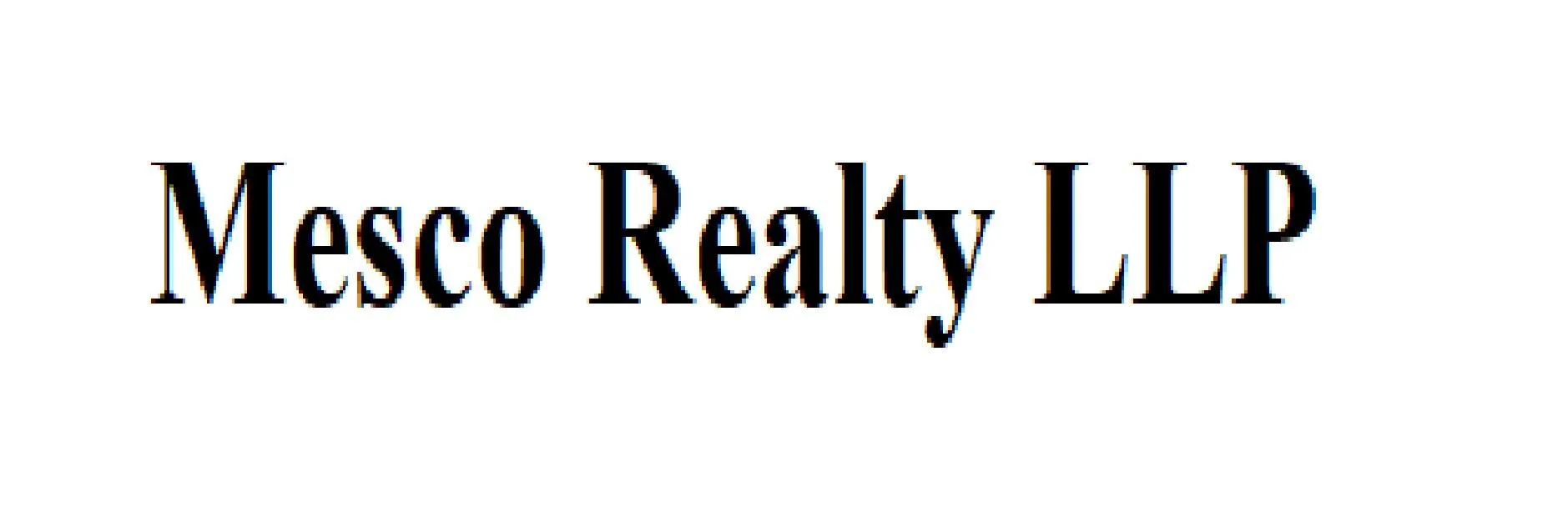 Mesco Realty LLP photo