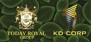 Today Royal Group and KD Corp logo