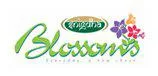 Sai Snigdha Group Builders logo