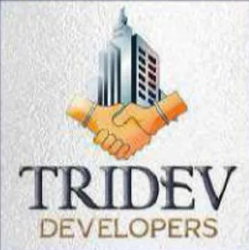 Tridev Developers logo