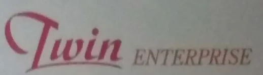 Twin Enterprise logo