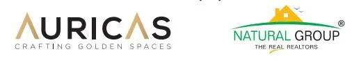 Auricas Group and Natural Group logo