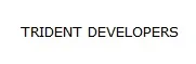 Trident Developers logo