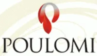 Poulomi Estates Builders photo