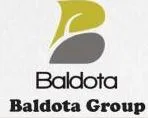 Baldota Group logo